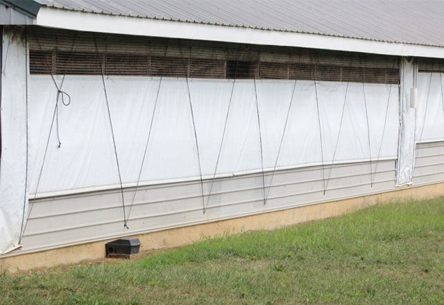 Agricultural Dairy Curtain